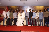 Karthikeya 2 Movie Press Meet
